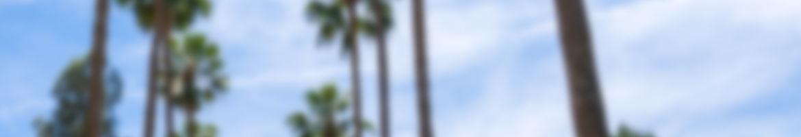 Palm walk
